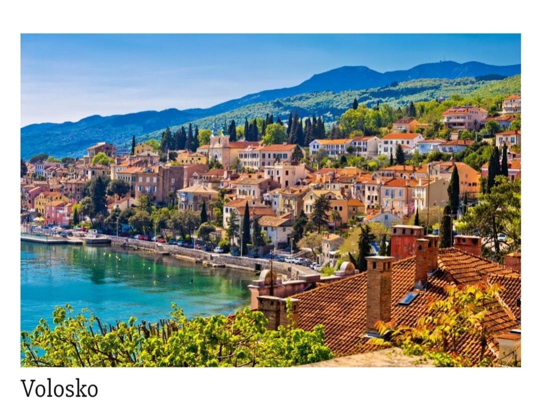 Luxury Aurora - Cod 0409 Apartment Opatija